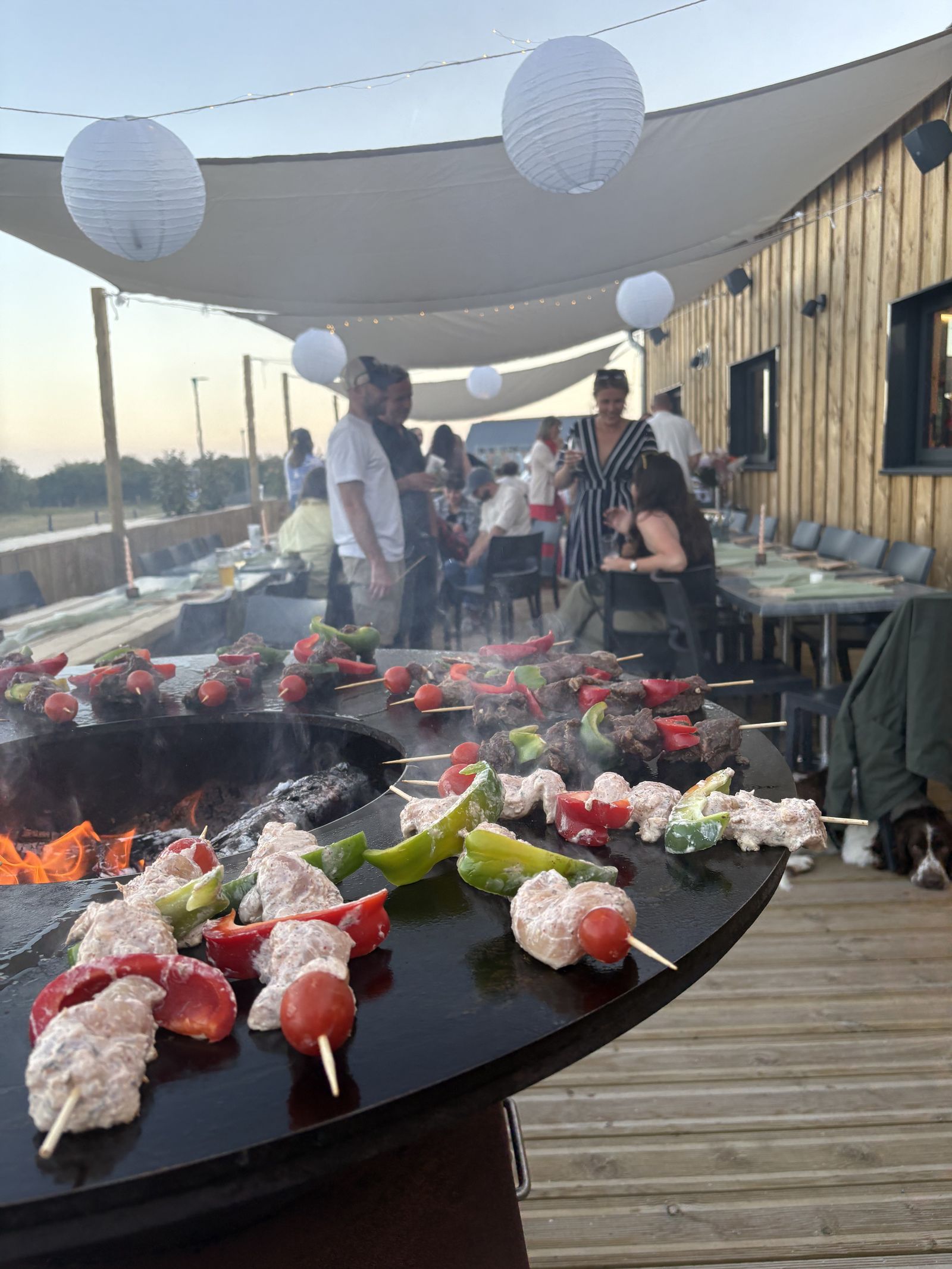 Meat and vegetable skewers on the brazier during an evening on the terrace.